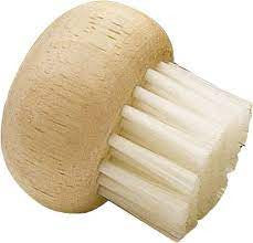 BROSSE A CHAMPIGNONS