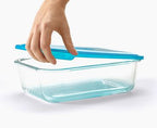 4 BOITES DE CONSERVATION EN VERRE