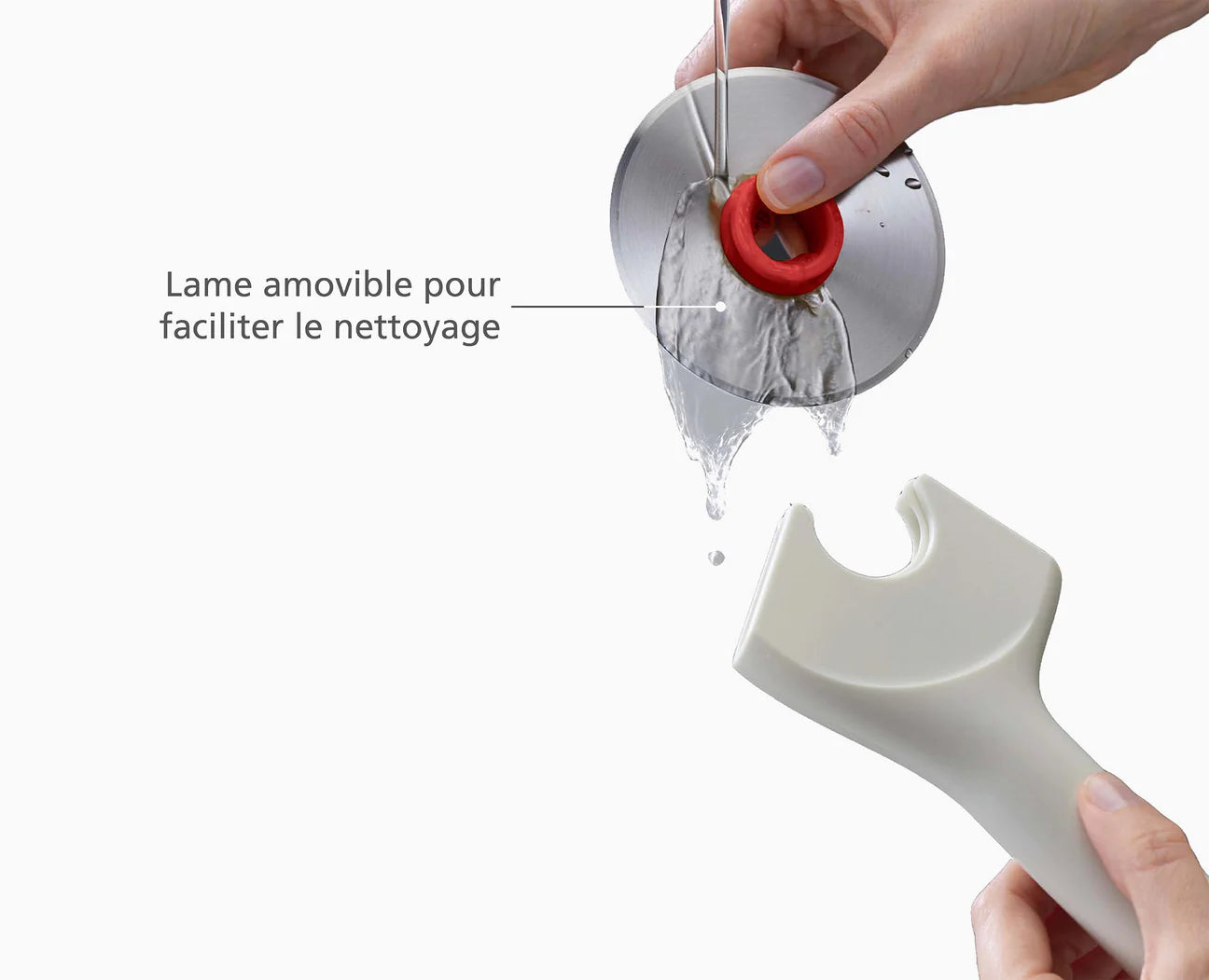 ROULETTE A PIZZA RINGO